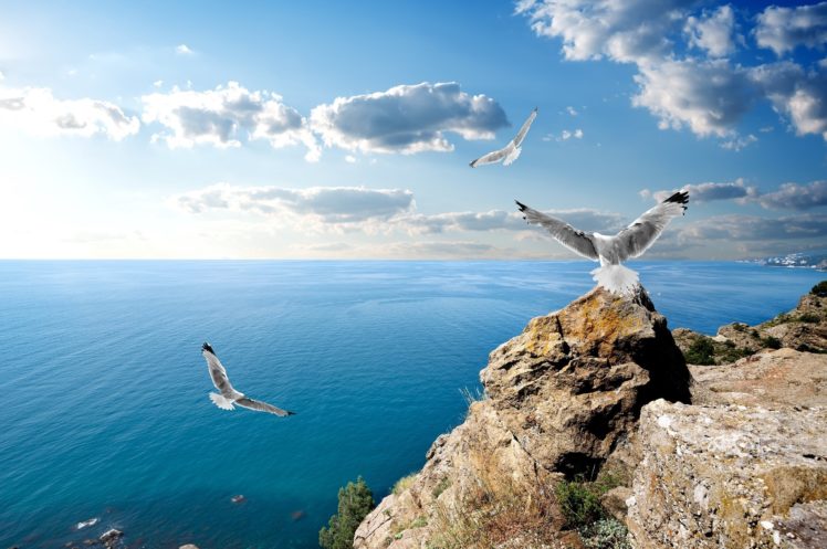 crimea, The, Black, Sea, Gulls, Rocks, Clouds HD Wallpaper Desktop Background