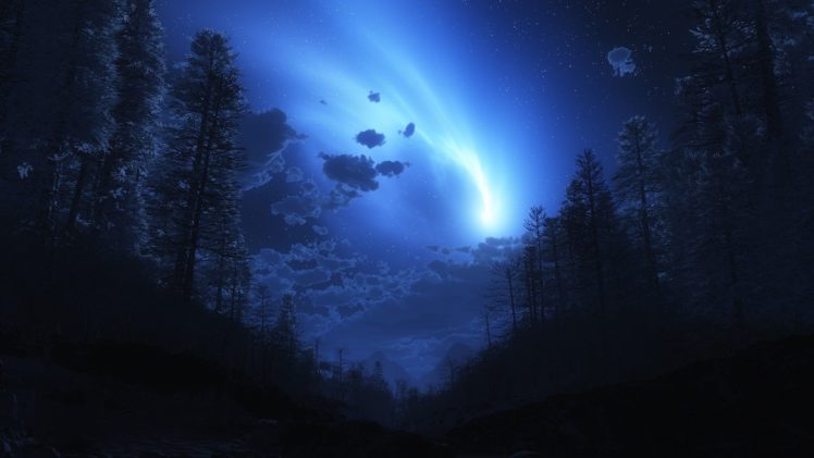 night, Forest, Fog, Sky HD Wallpaper Desktop Background