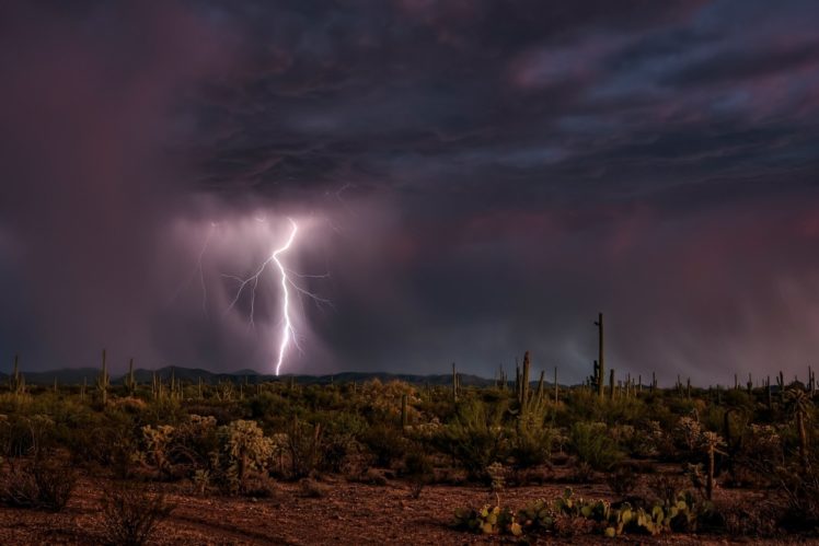 night, Clouds, Lightning, Desert HD Wallpaper Desktop Background