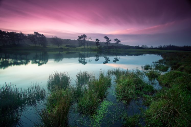 pond, Forest, Grass, Sky, Nature, Lake HD Wallpaper Desktop Background