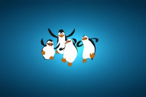 penguins, Of, Madagascar, Penguin