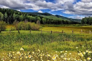flowers, Meadow, Fence, Rustic, Grass, Mountains, Hills, Trees, Forest, Woods, Sky, Clouds