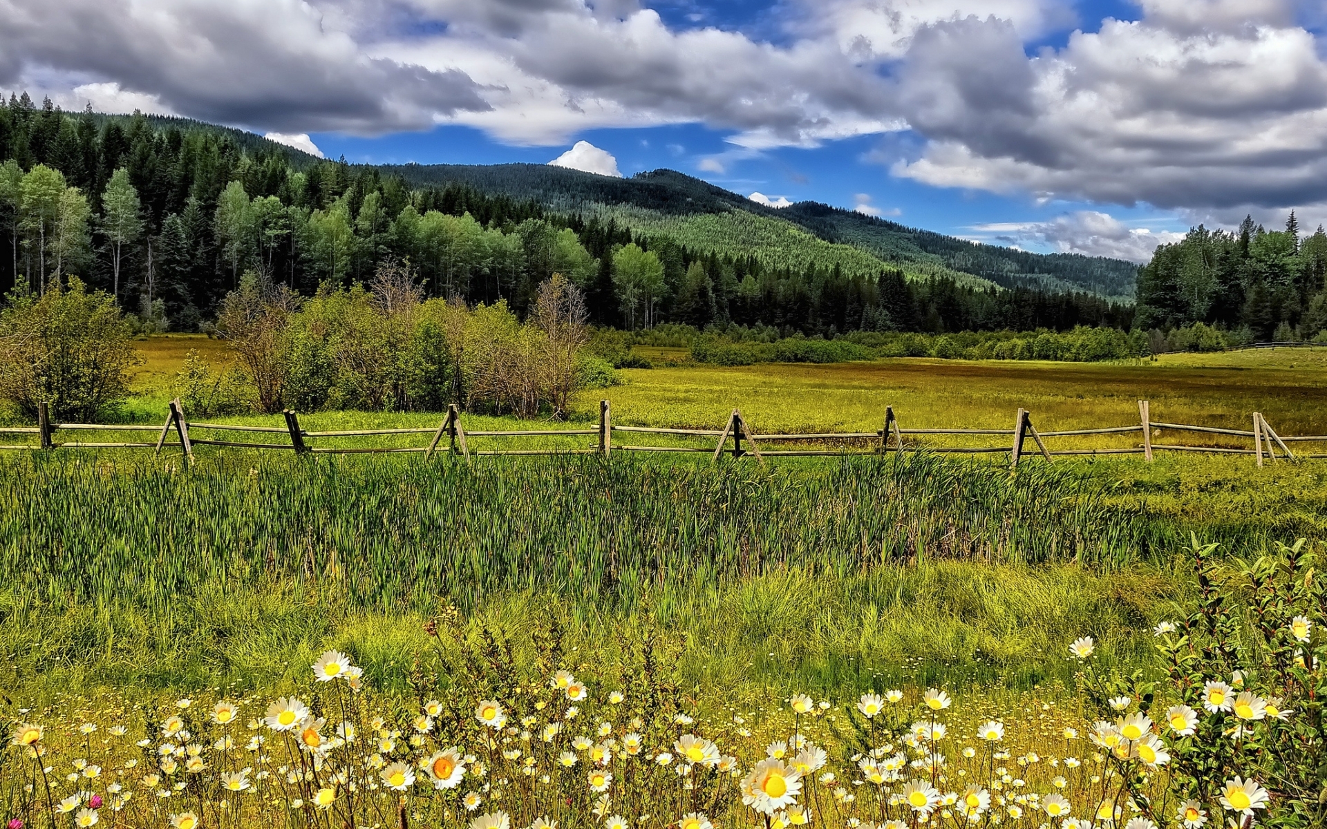 flowers, Meadow, Fence, Rustic, Grass, Mountains, Hills, Trees, Forest, Woods, Sky, Clouds Wallpaper