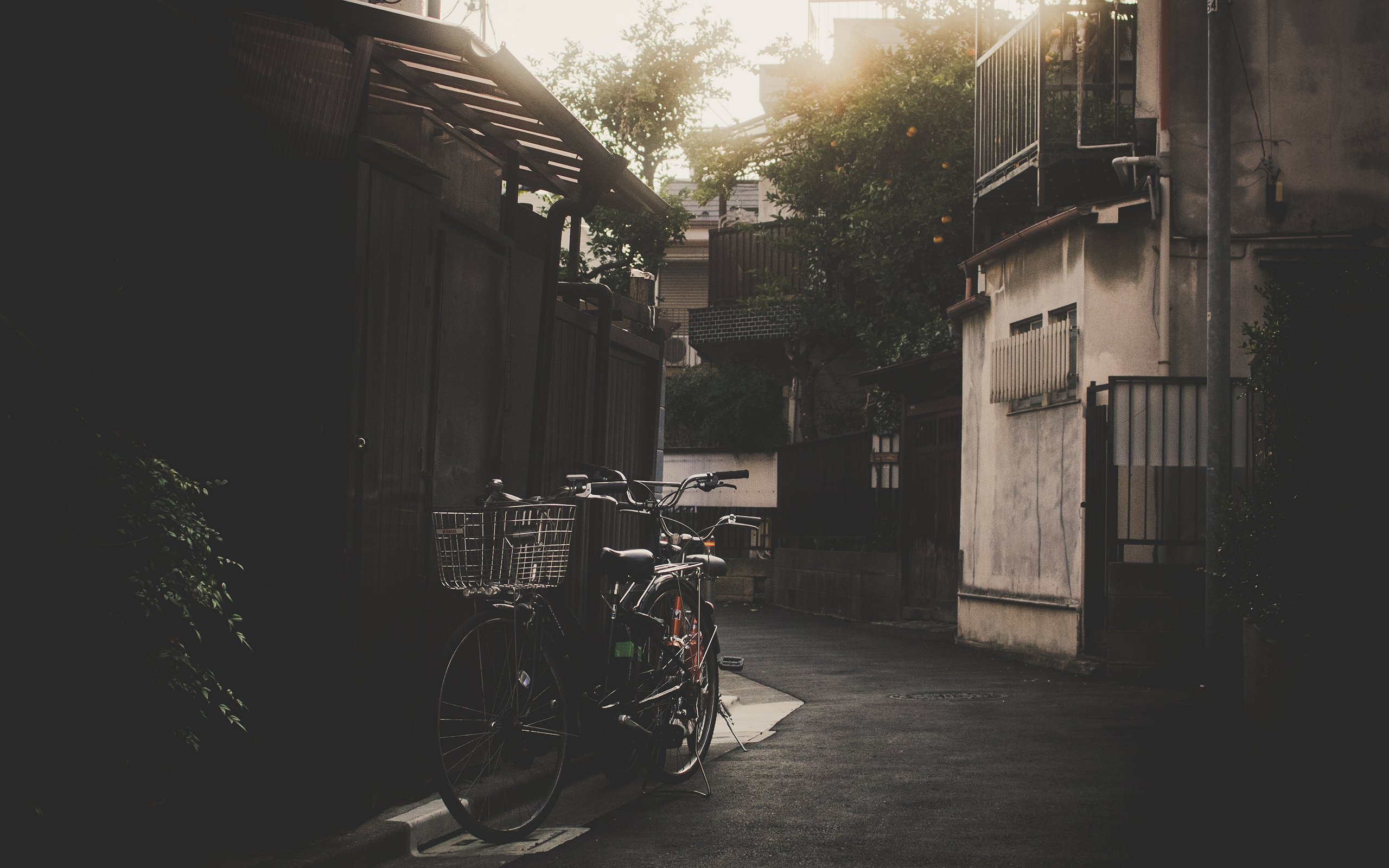 bicycle, Warm, Buildings Wallpaper