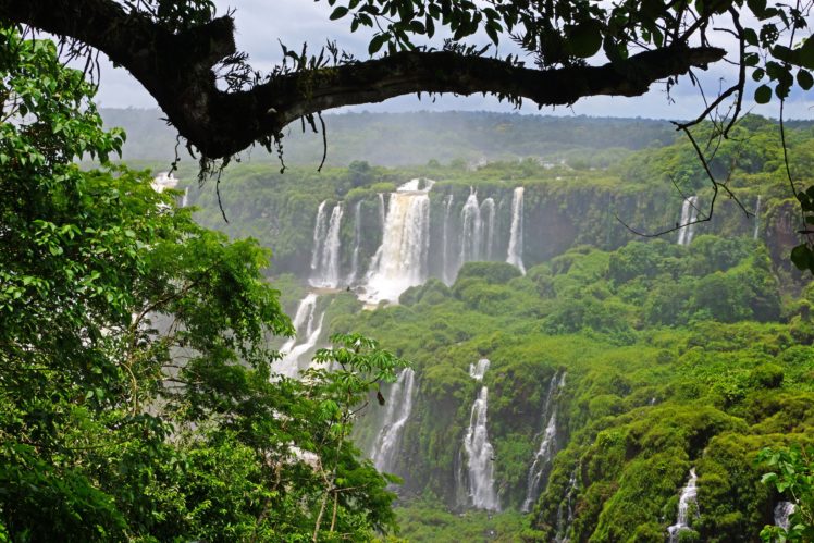 brazil, Waterfalls, Iguazu, Branches, Nature HD Wallpaper Desktop Background
