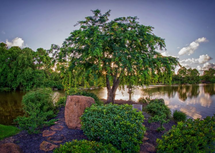 gardens, Pond, Morikami, Japanese, Garden, Miami, Trees, Shrubs, Nature HD Wallpaper Desktop Background