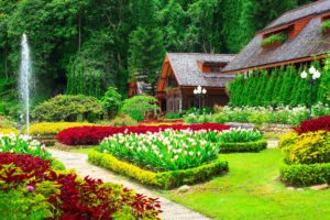 gardens, Tulips, Houses, Shrubs, Grass, Nature