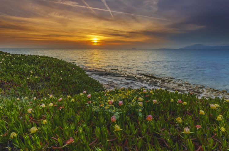 landscape, Nature, Sea, Sunset, Flowers, Kos, Island, Greece HD Wallpaper Desktop Background