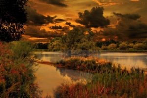 pond, Clouds, Trees, Nature, Evening, Lake