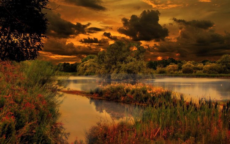 pond, Clouds, Trees, Nature, Evening, Lake HD Wallpaper Desktop Background