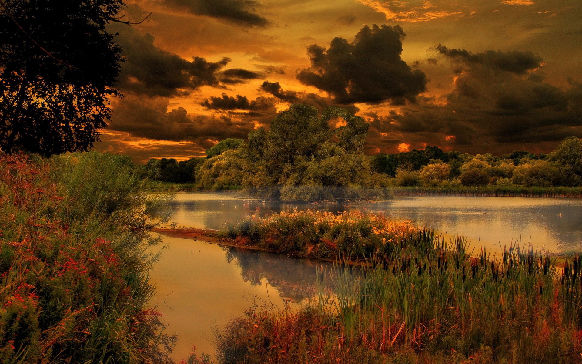 pond, Clouds, Trees, Nature, Evening, Lake Wallpaper
