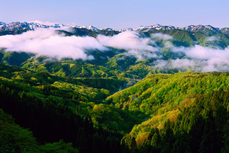landscapes, Trees, Forest, Woods, Autumn, Fall, Clouds, Fog HD Wallpaper Desktop Background