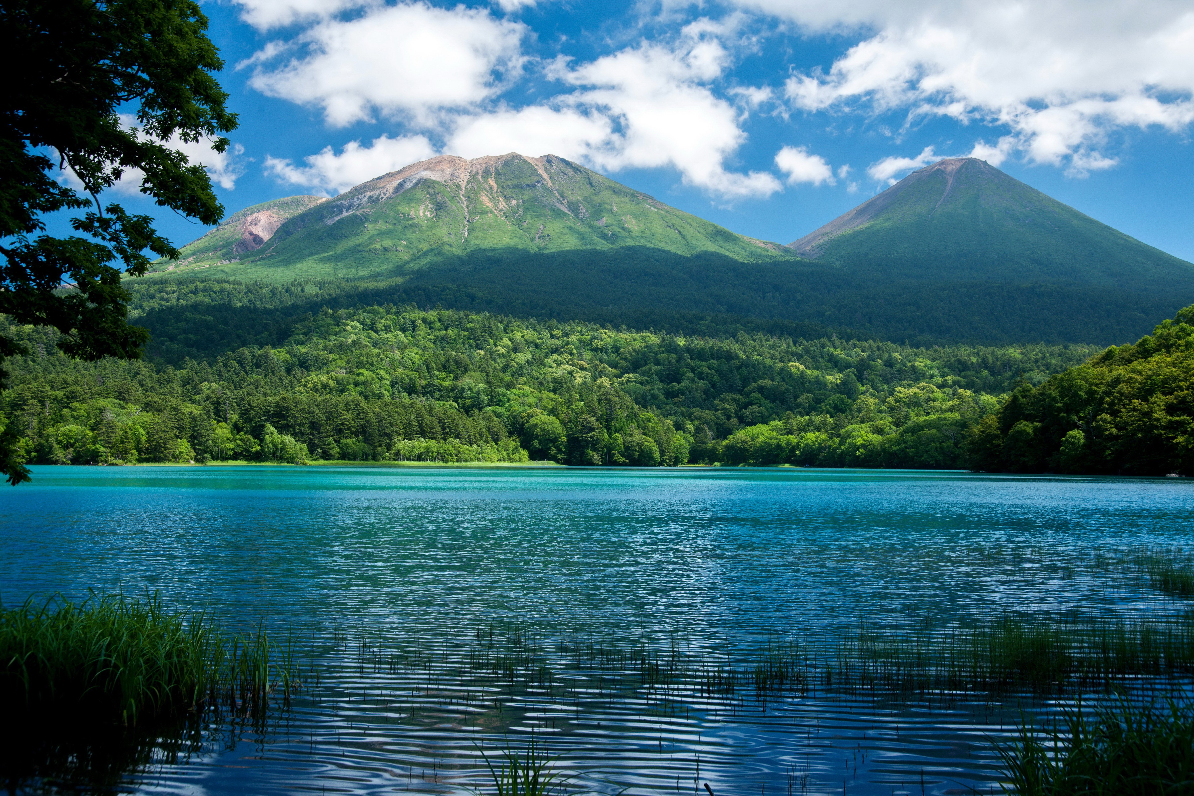 scenery, Lake, Mountains, Forests, Nature Wallpaper