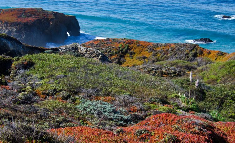 usa, Coast, California, Grass, Nature HD Wallpaper Desktop Background