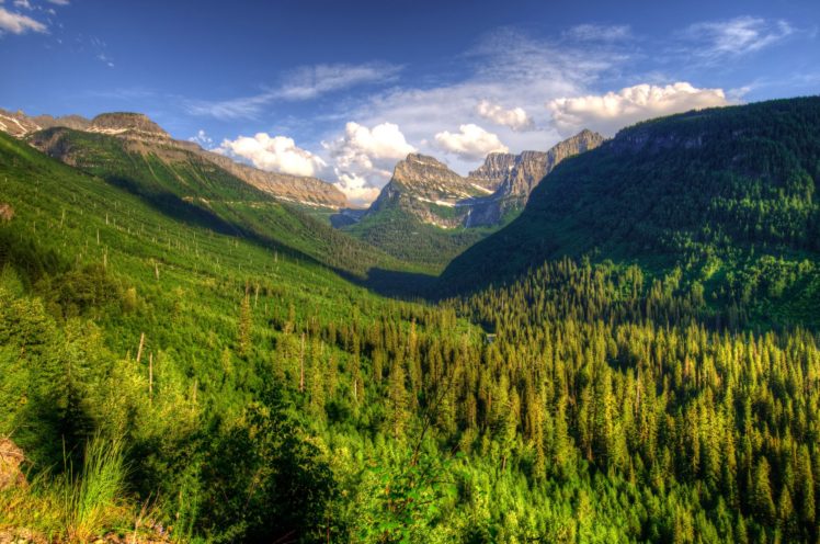 usa, Glacier, Montana, Fir, Nature HD Wallpaper Desktop Background
