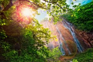waterfalls, Rays, Of, Light, Branches, Nature