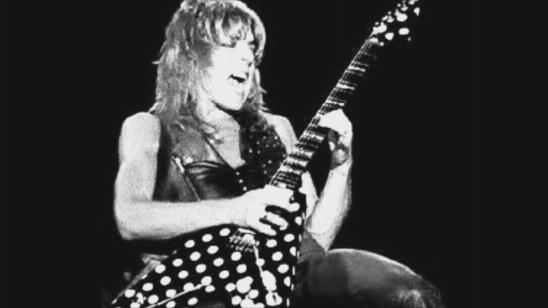 randy rhoads, Ozzy, Osbourne, Heavy, Metal, Randy, Rhoads, Guitar, Concert Wallpaper