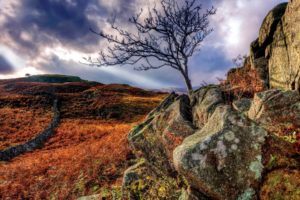 hdr, Stone, Wall, Fence, Rocks, Tree, Sky, Clouds, Hills