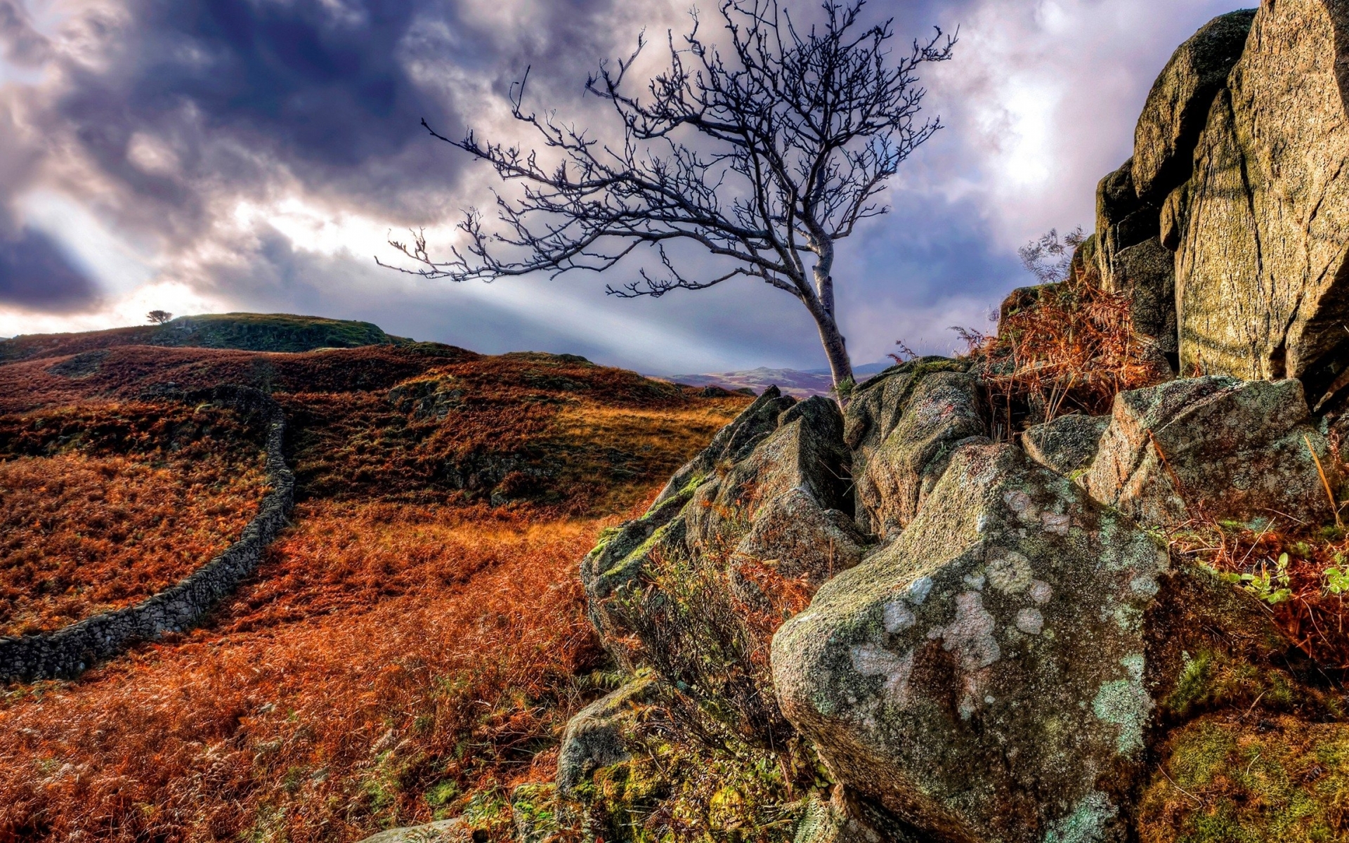 hdr, Stone, Wall, Fence, Rocks, Tree, Sky, Clouds, Hills Wallpaper