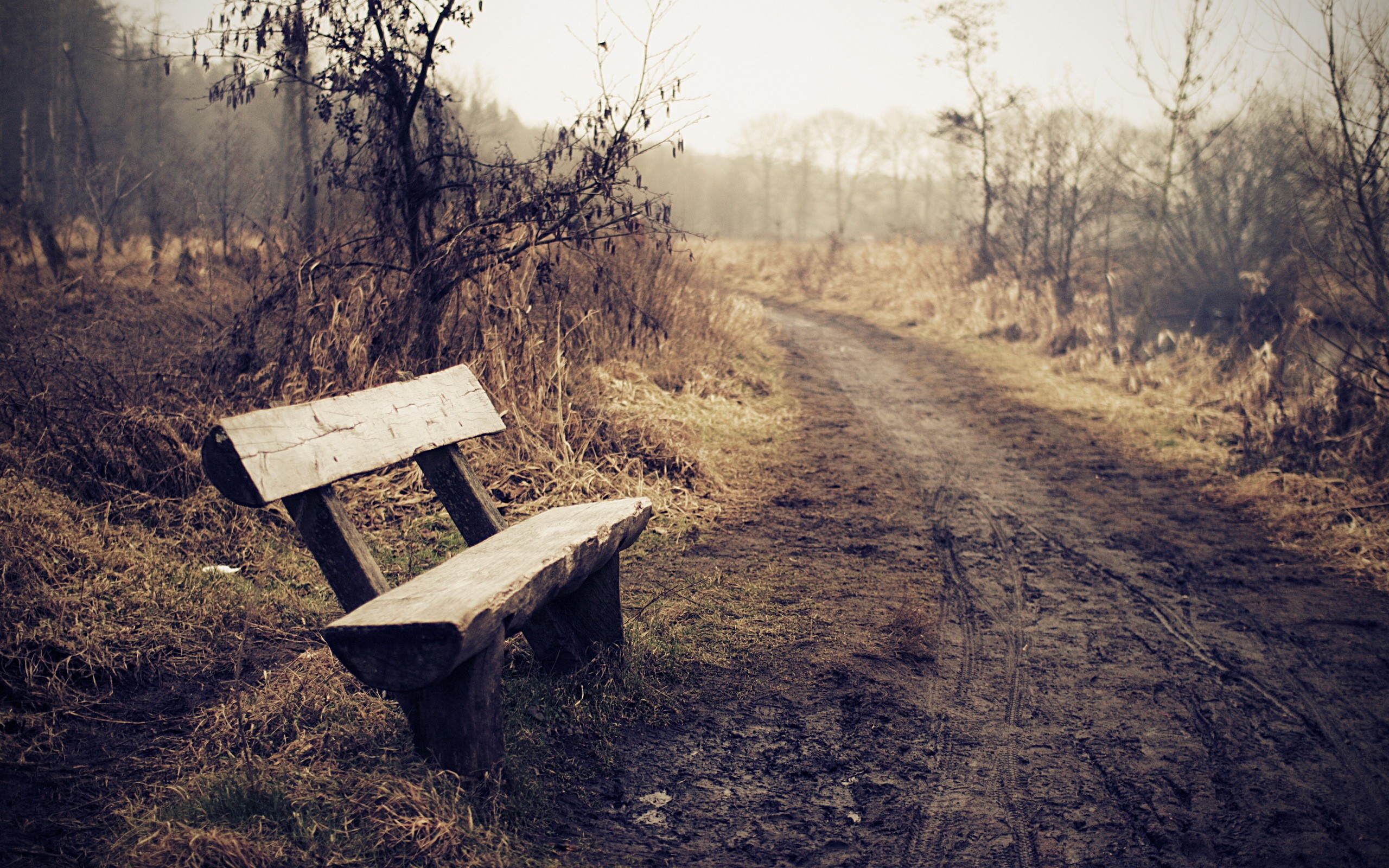 wooden, Bench, On, An, Off road, Route Wallpaper