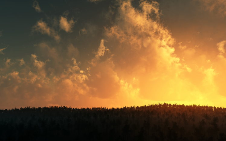 sunset, Over, Tree, Tops HD Wallpaper Desktop Background