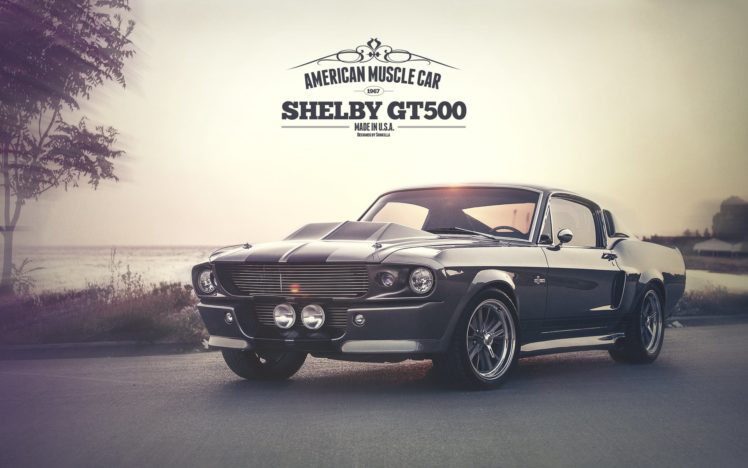 shelby, Gt, 500, Ford, Mustang, Sunkilla HD Wallpaper Desktop Background