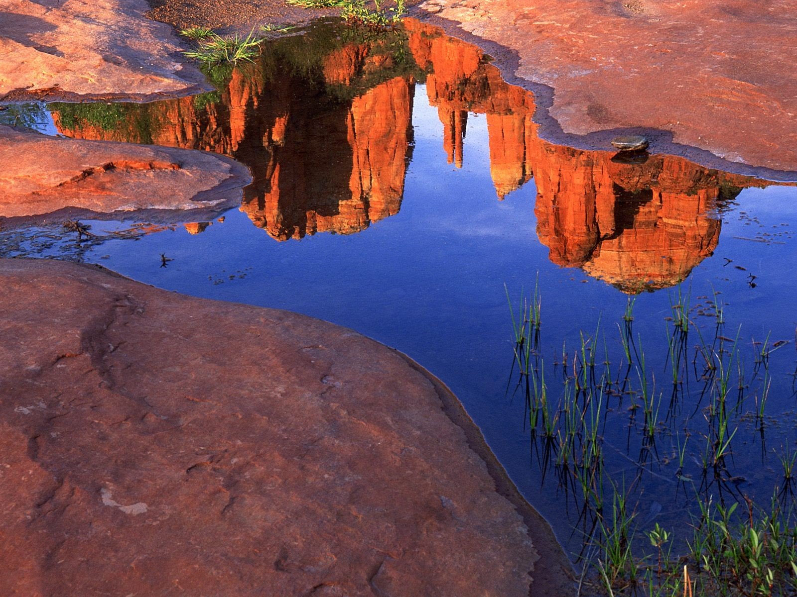 nature Wallpaper