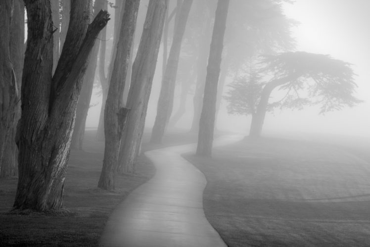 park, Trees, Path, Trail, Fog, Mist, Black, White, Bw HD Wallpaper Desktop Background