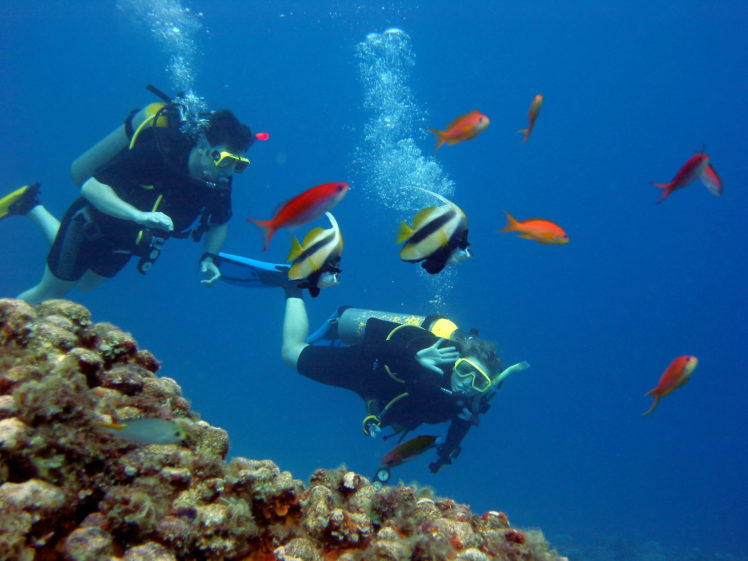 scuba, Ocean, Sea, Diving, Fishes, Tropical, Underwater HD Wallpaper Desktop Background