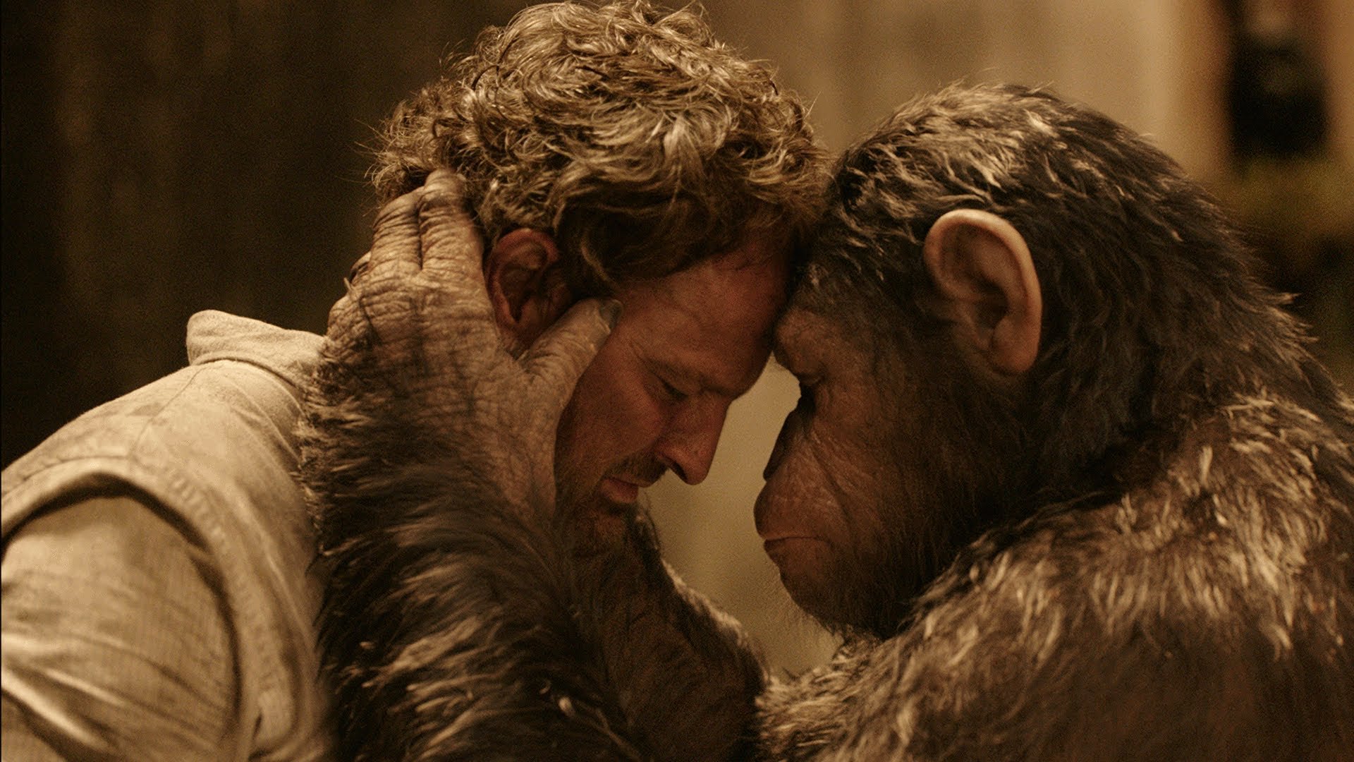 dawn of the apes, Action, Drama, Sci fi, Dawn, Planet, Apes, Monkey, Adventure,  33 Wallpaper