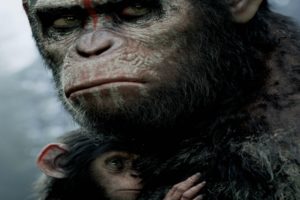 dawn of the apes, Action, Drama, Sci fi, Dawn, Planet, Apes, Monkey, Adventure,  42