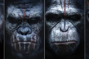 dawn of the apes, Action, Drama, Sci fi, Dawn, Planet, Apes, Monkey, Adventure,  64