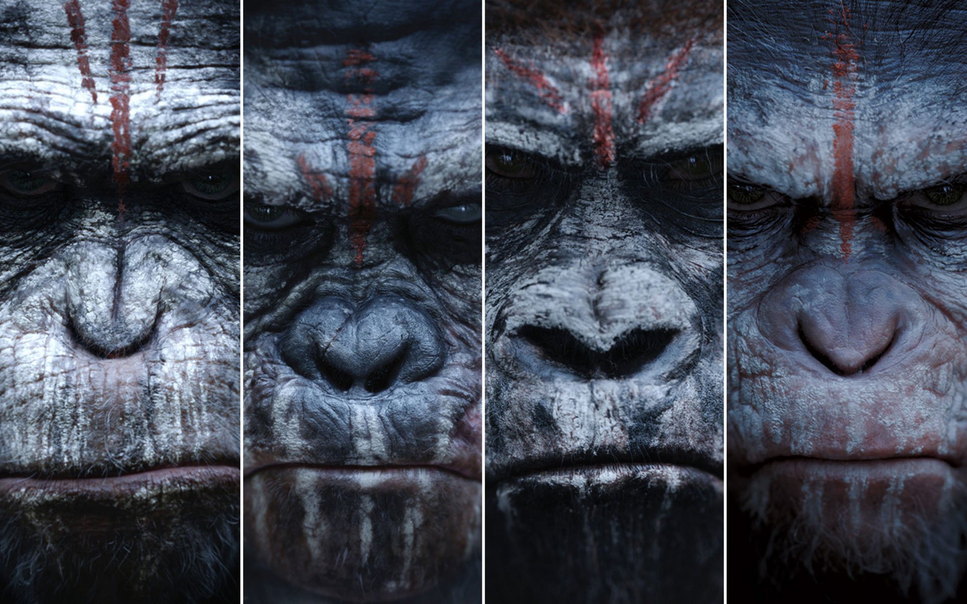 dawn of the apes, Action, Drama, Sci fi, Dawn, Planet, Apes, Monkey, Adventure,  81 Wallpaper