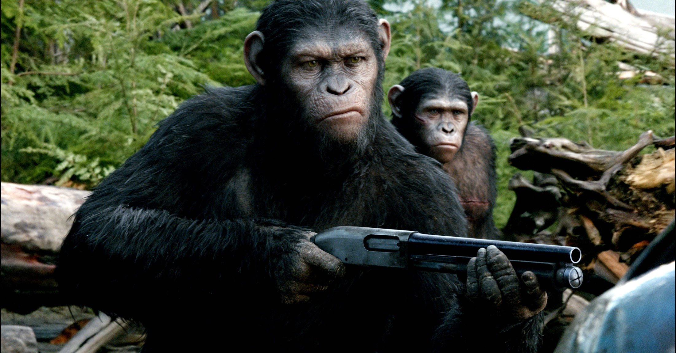 dawn of the apes, Action, Drama, Sci fi, Dawn, Planet, Apes, Monkey, Adventure,  74 Wallpaper