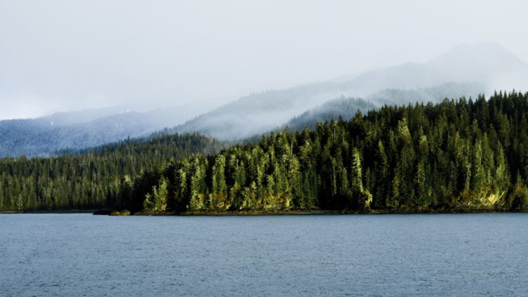 landscapes, Trees, Forest, Woods, Mountains, Fog HD Wallpaper Desktop Background