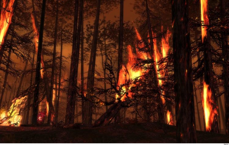 landscapes, Forest, Woods, Fire, Flames HD Wallpaper Desktop Background