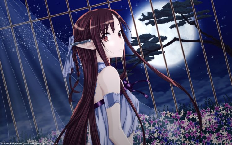 sword, Art, Online, Anime, Girls, Cage, Flowers HD Wallpaper Desktop Background