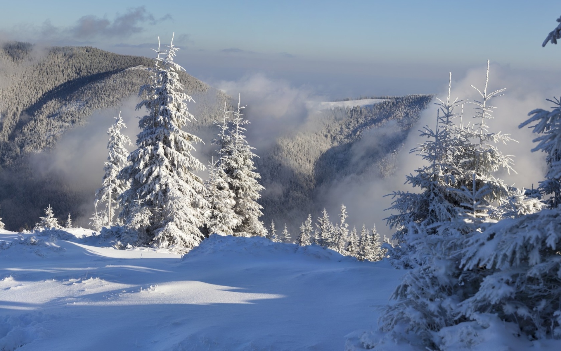 landscapes, Winter, Snow, Trees Wallpaper