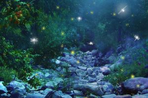 fantasy, Art, Nature, Trees, Forest, Woods, Magic, Insects, Firefly, Night, Glow, Lights