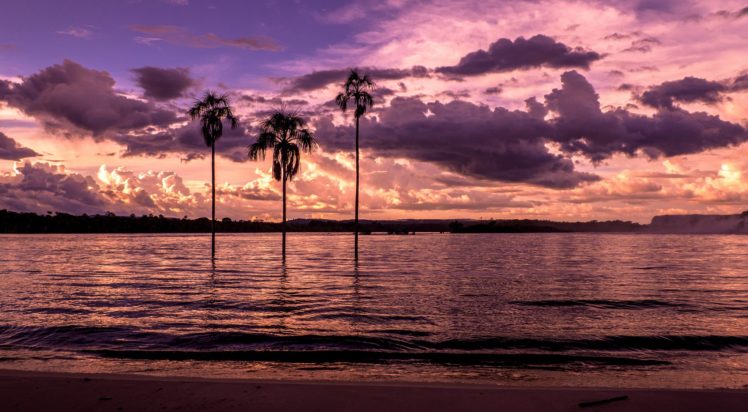 bay, Beach, Sunset, Palm, Trees HD Wallpaper Desktop Background