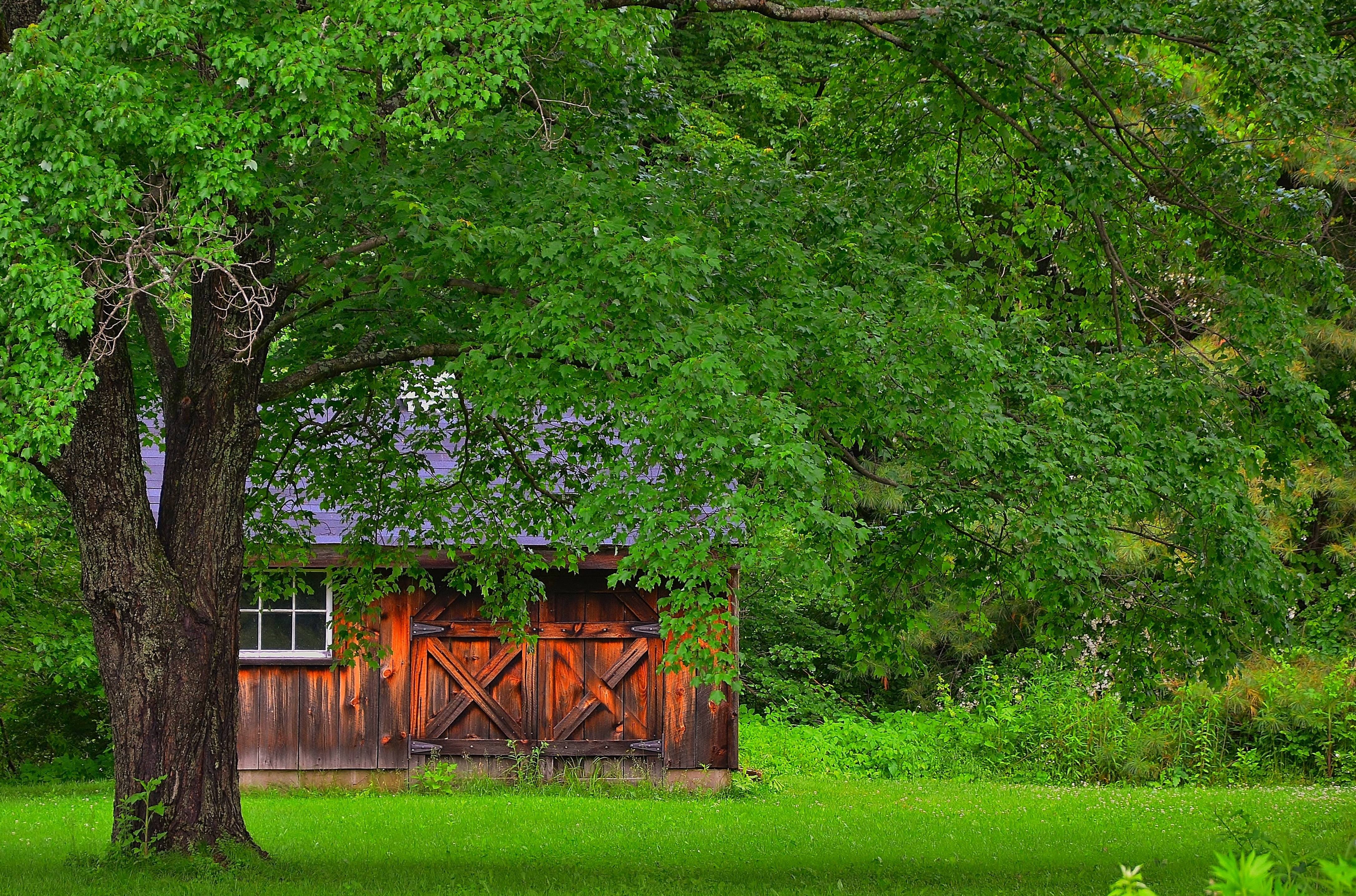 meadow, Trees, House, Landscape Wallpaper