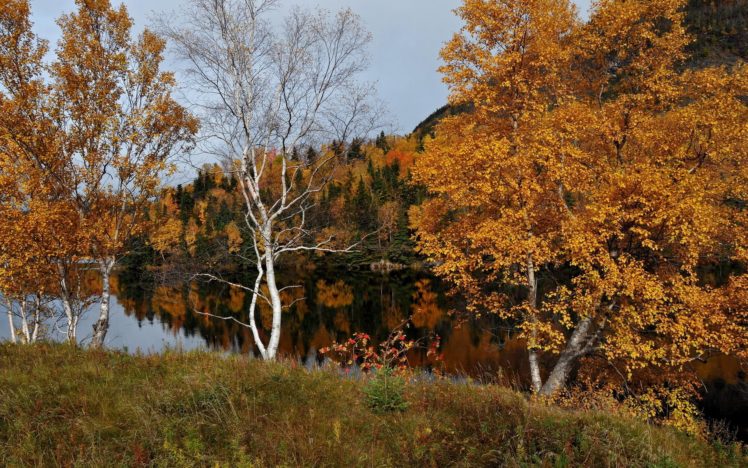 autumn, Nature, River HD Wallpaper Desktop Background