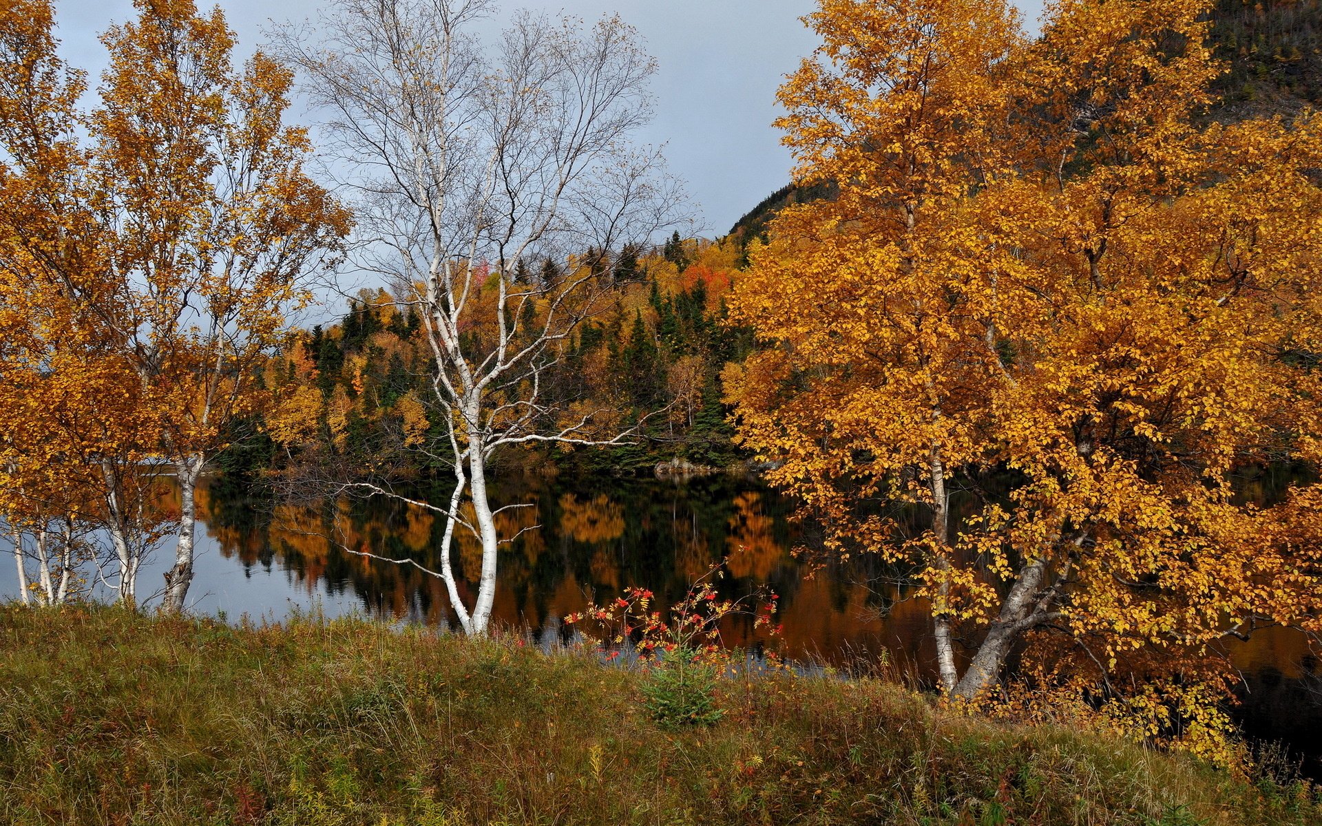 autumn, Nature, River Wallpaper