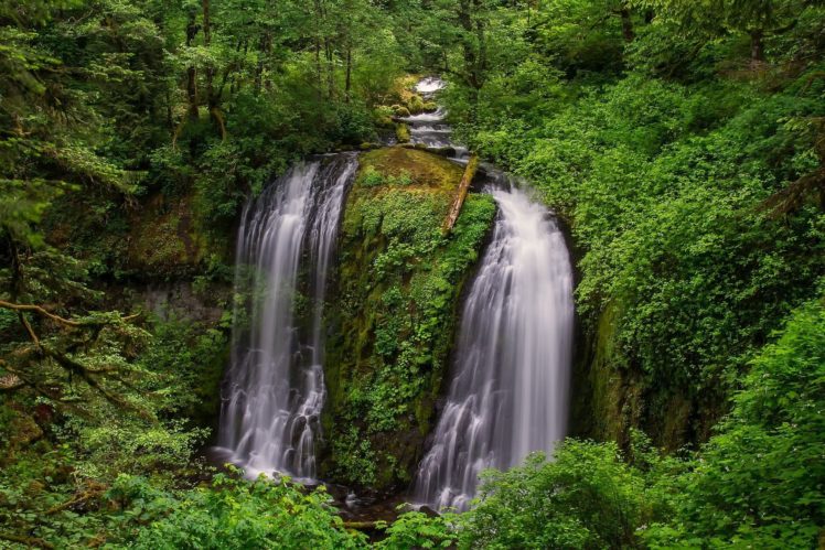 forest, Waterfall, River, Nature HD Wallpaper Desktop Background