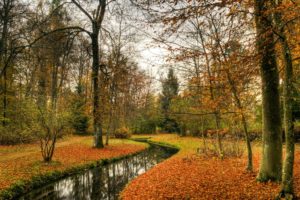 autumn, River, Forest