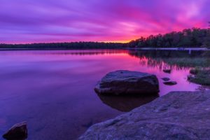 lake, Lilac, Dawn, Stones, Wood, Reflection