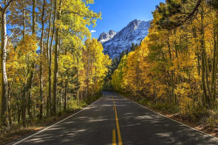 landscape, Nature, Autumn, Road, Trees, Mountains HD Wallpaper Desktop Background
