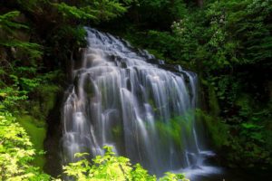 waterfall, Cascade, Trees, Nature