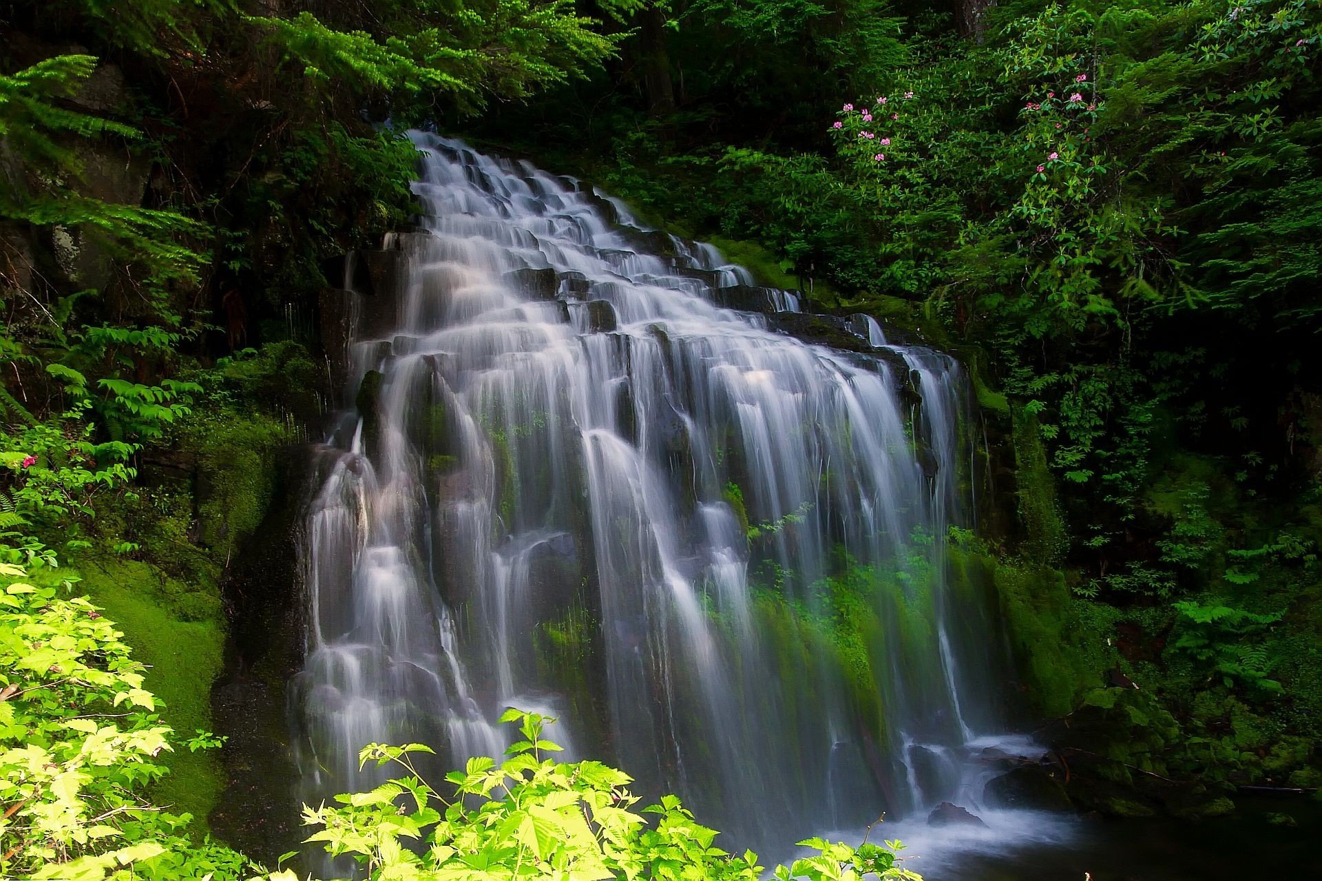 waterfall, Cascade, Trees, Nature Wallpaper