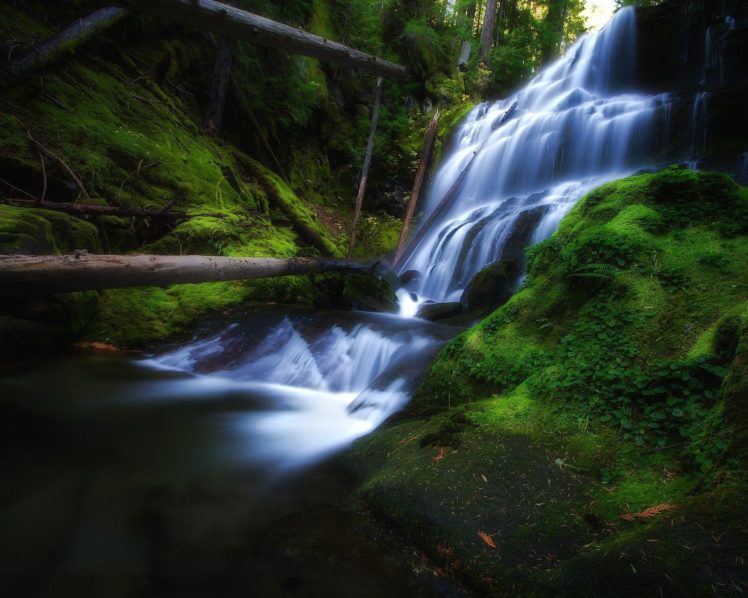 waterfall, Forest, Logs, Moss, Nature HD Wallpaper Desktop Background
